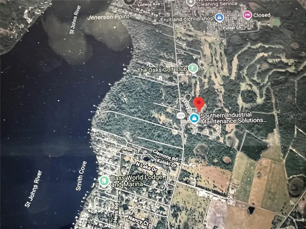 260 Live Oak Loop Crescent City FL 32112