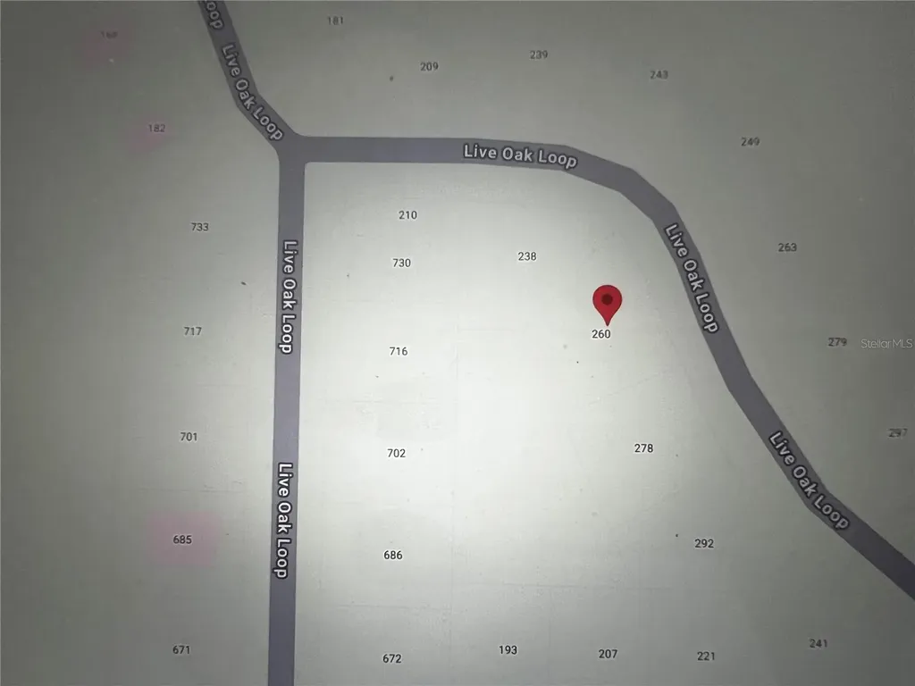 260 Live Oak Loop Crescent City FL 32112
