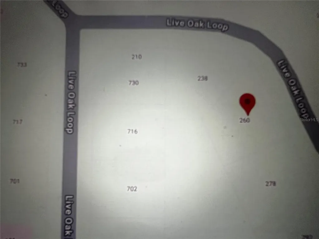 260 Live Oak Loop Crescent City FL 32112