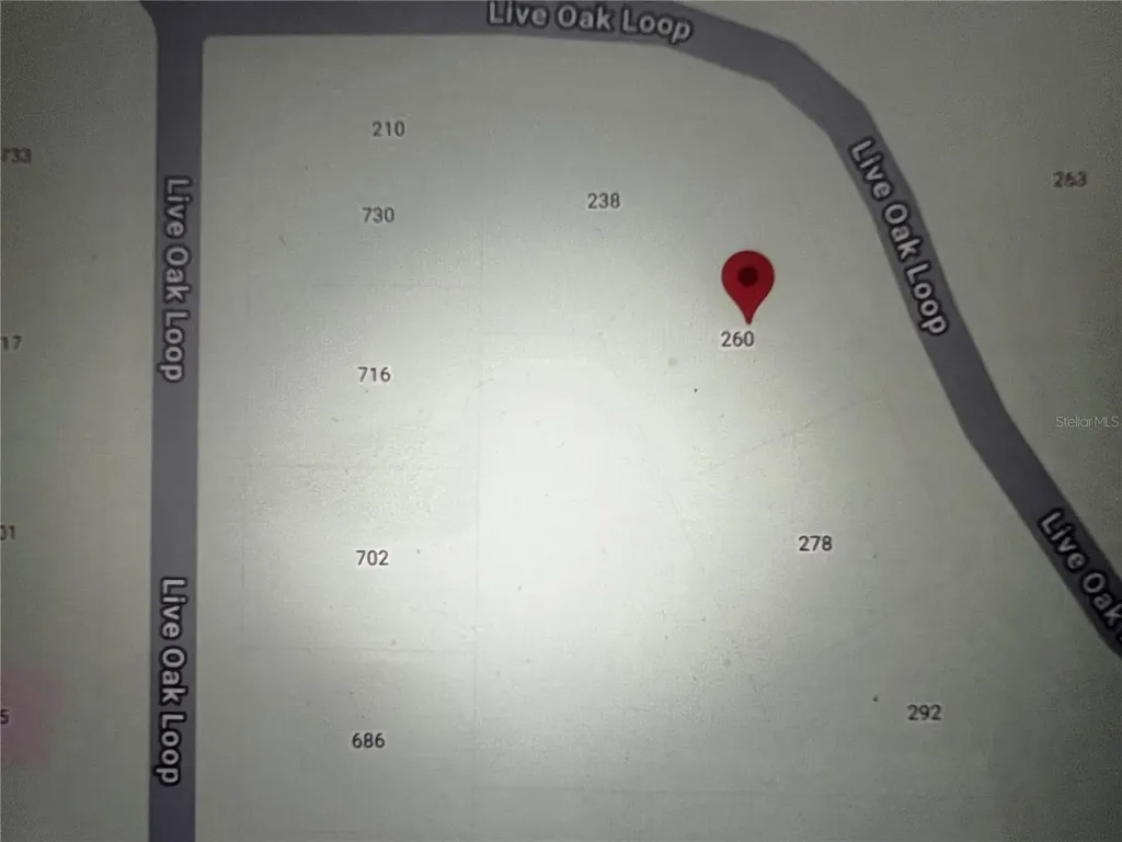260 Live Oak Loop Crescent City FL 32112