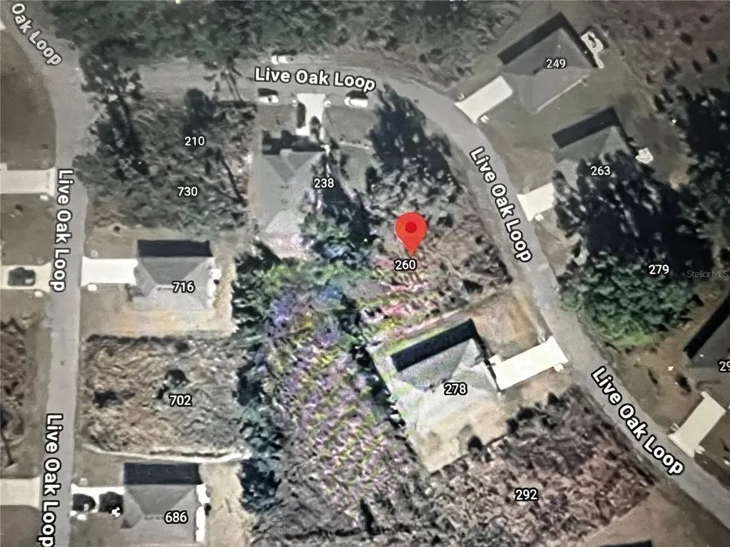 260 Live Oak Loop Crescent City FL 32112