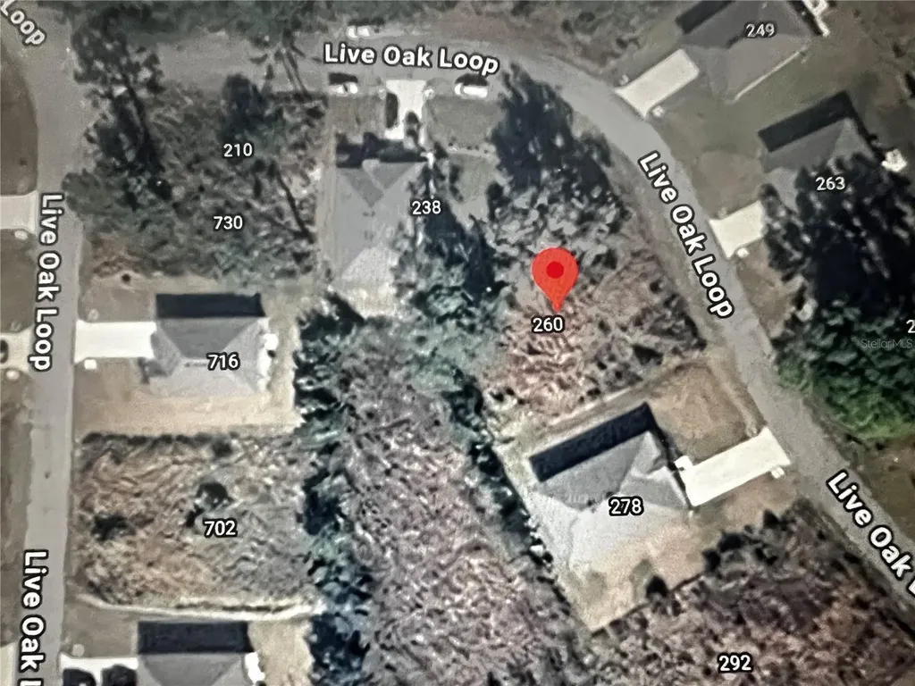 260 Live Oak Loop Crescent City FL 32112