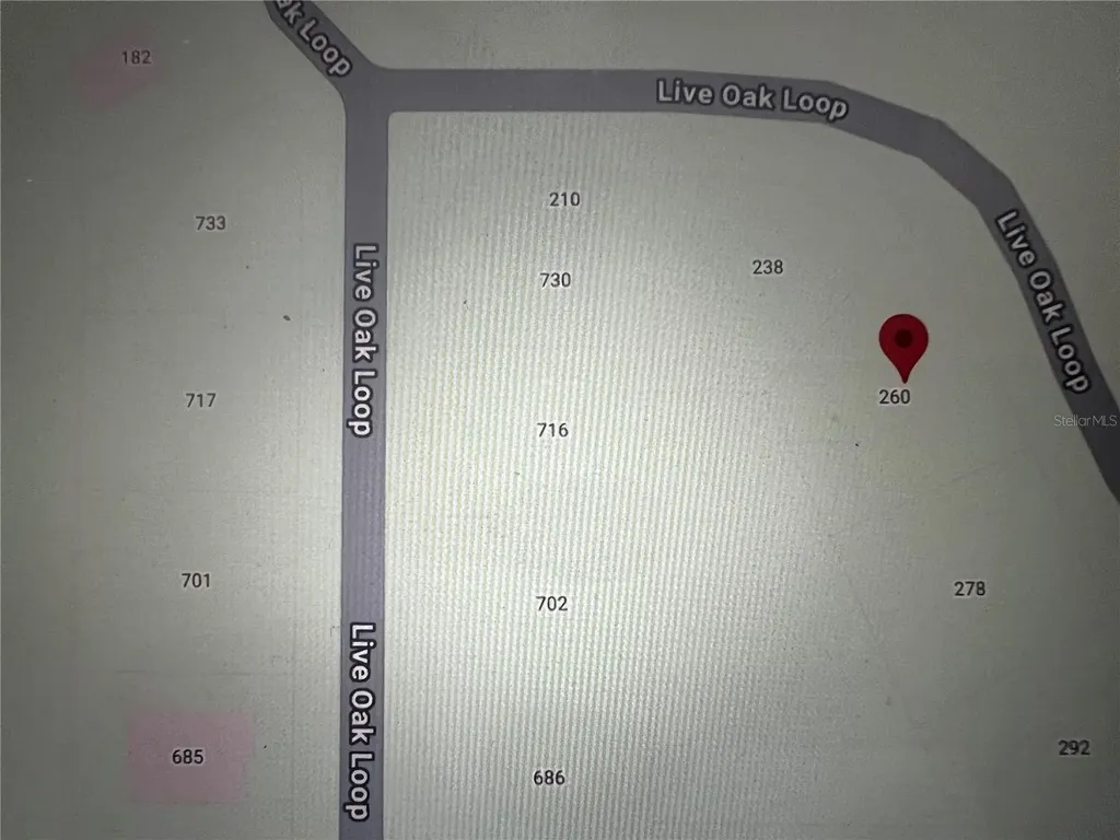 260 Live Oak Loop Crescent City FL 32112
