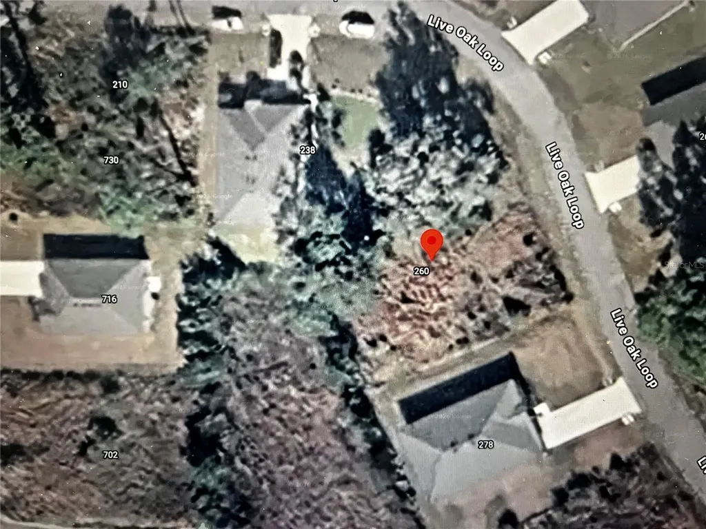 260 Live Oak Loop Crescent City FL 32112