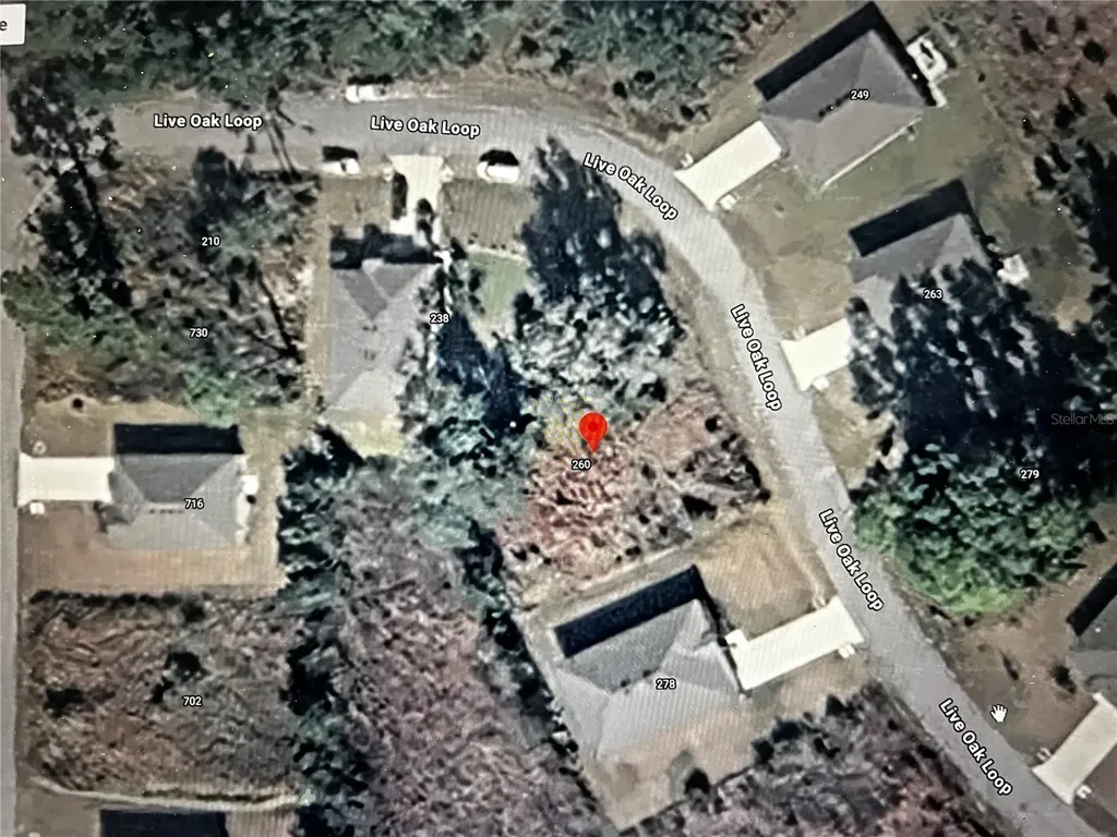 260 Live Oak Loop Crescent City FL 32112