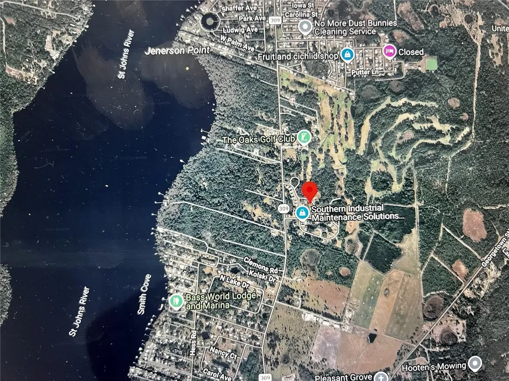 260 Live Oak Loop Crescent City FL 32112