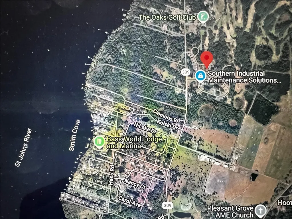 260 Live Oak Loop Crescent City FL 32112