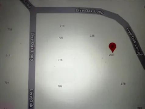 260 Live Oak Loop Crescent City FL 32112