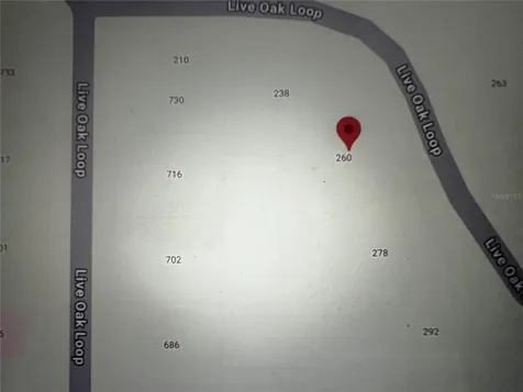 260 Live Oak Loop Crescent City FL 32112