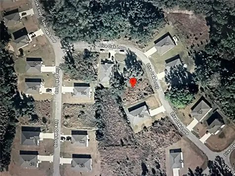 260 Live Oak Loop Crescent City FL 32112