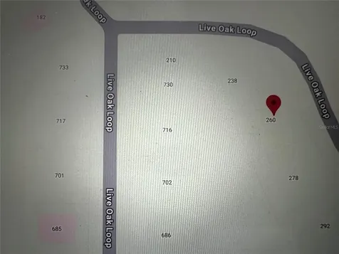 260 Live Oak Loop Crescent City FL 32112