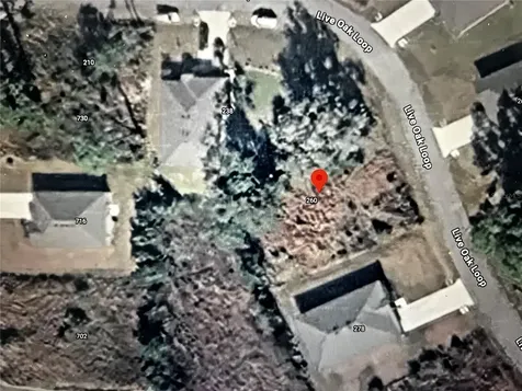 260 Live Oak Loop Crescent City FL 32112