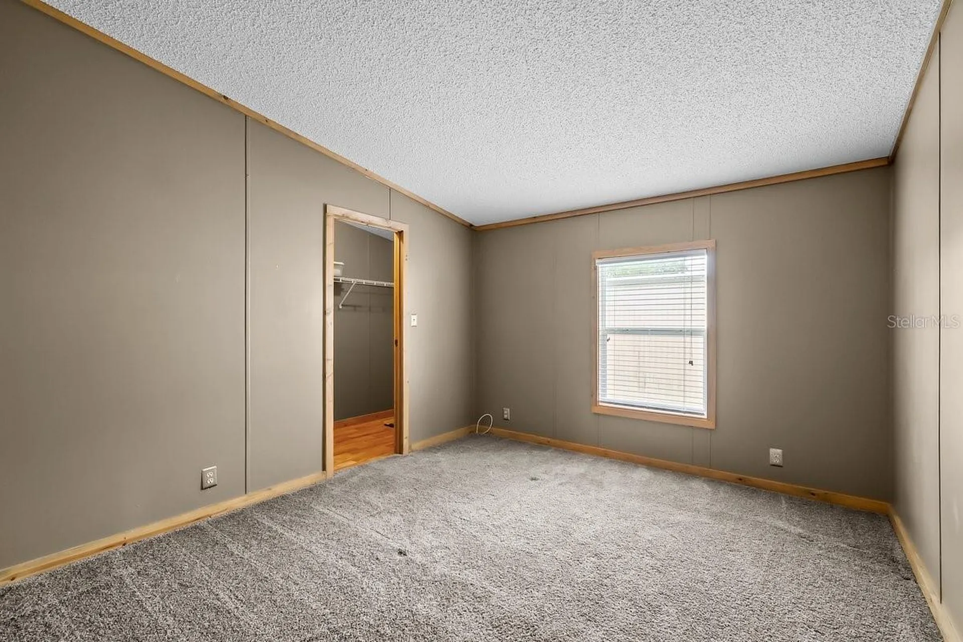 41 Scott Street Welaka FL 32193