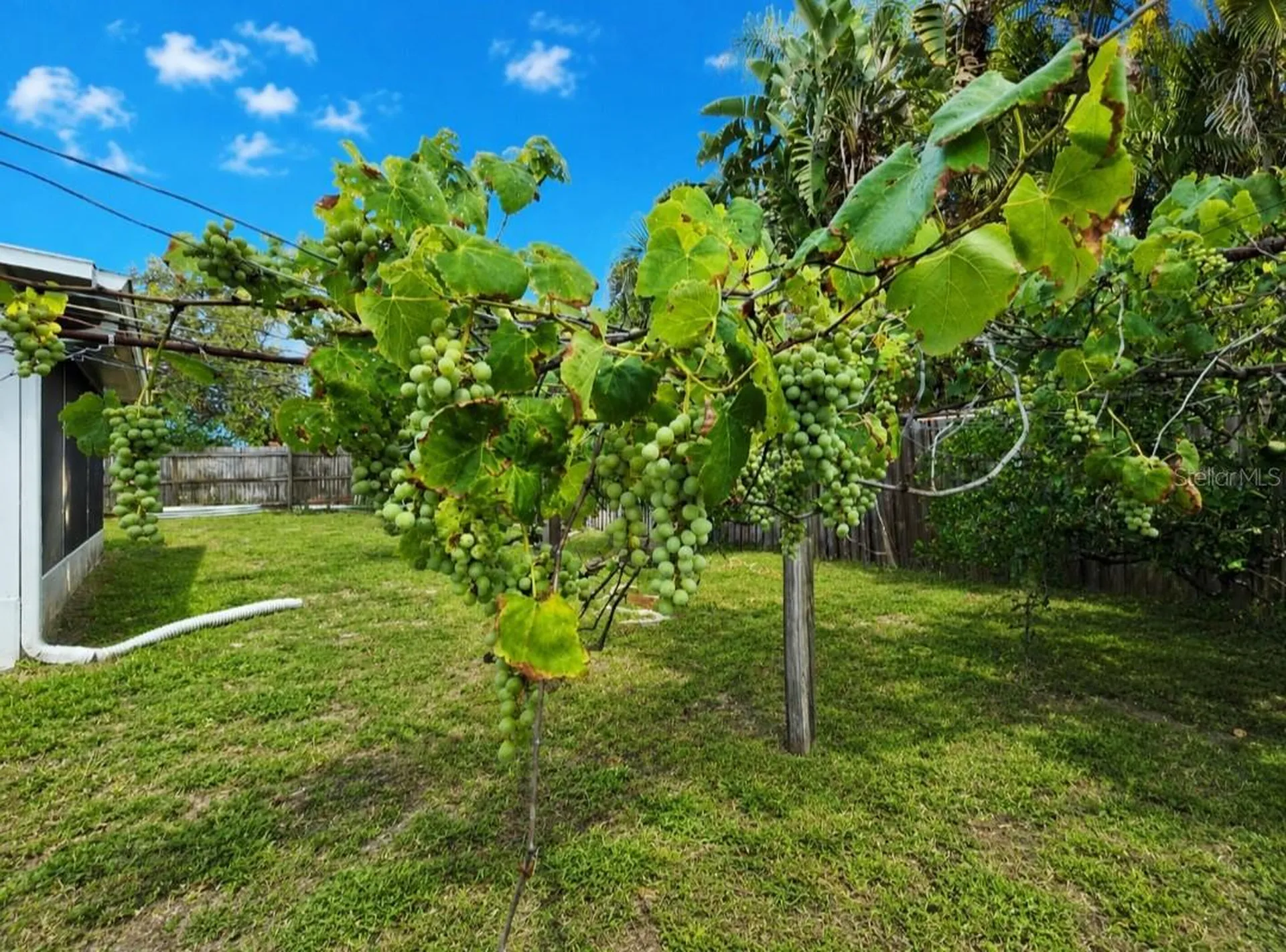 164 Pinewood Avenue Clearwater FL 33765