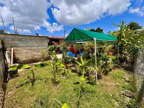 Naguabo PR 00718