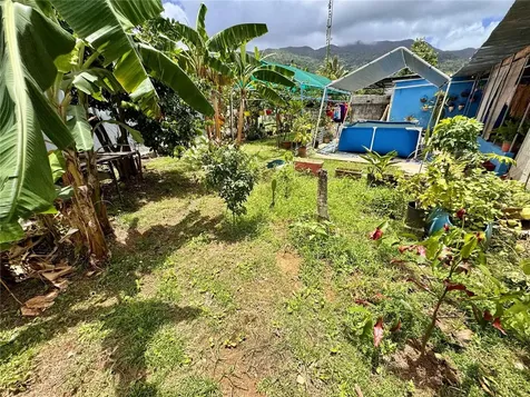 Naguabo PR 00718