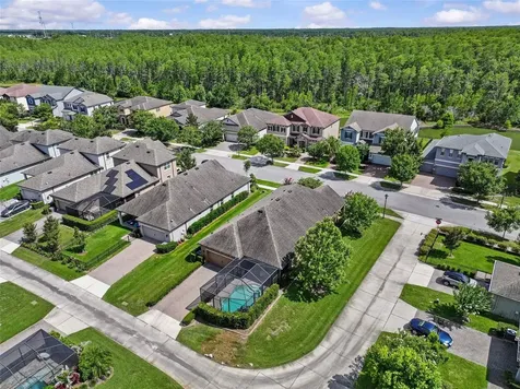 13353 Batten Lane Odessa FL 33556