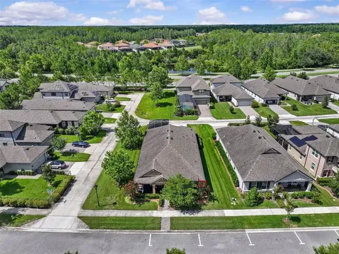 13353 Batten Lane Odessa FL 33556