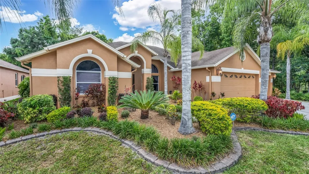 29135 Rivergate Run Wesley Chapel FL 33543