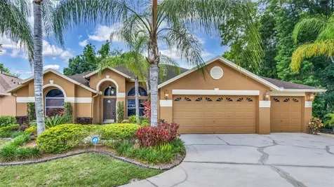 29135 Rivergate Run Wesley Chapel FL 33543
