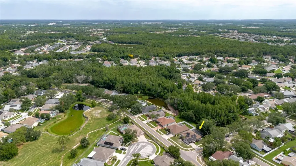 9601 Regents Park Drive Tampa FL 33647