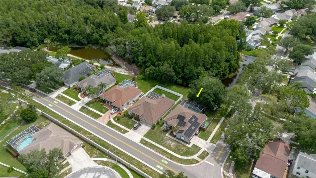 9601 Regents Park Drive Tampa FL 33647