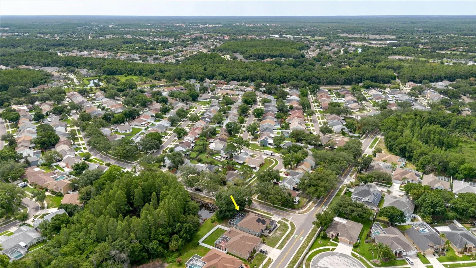 9601 Regents Park Drive Tampa FL 33647