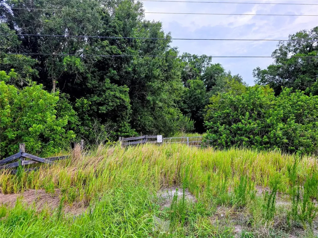 Avon Park Cutoff Road Fort Meade FL 33841