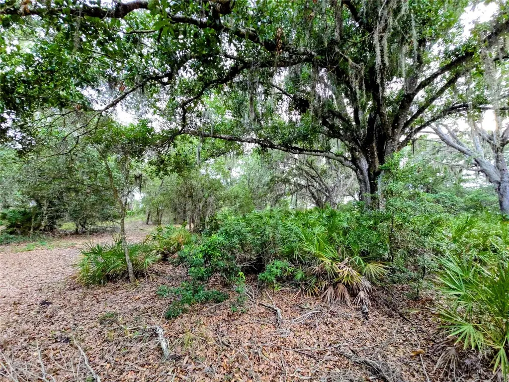 Avon Park Cutoff Road Fort Meade FL 33841