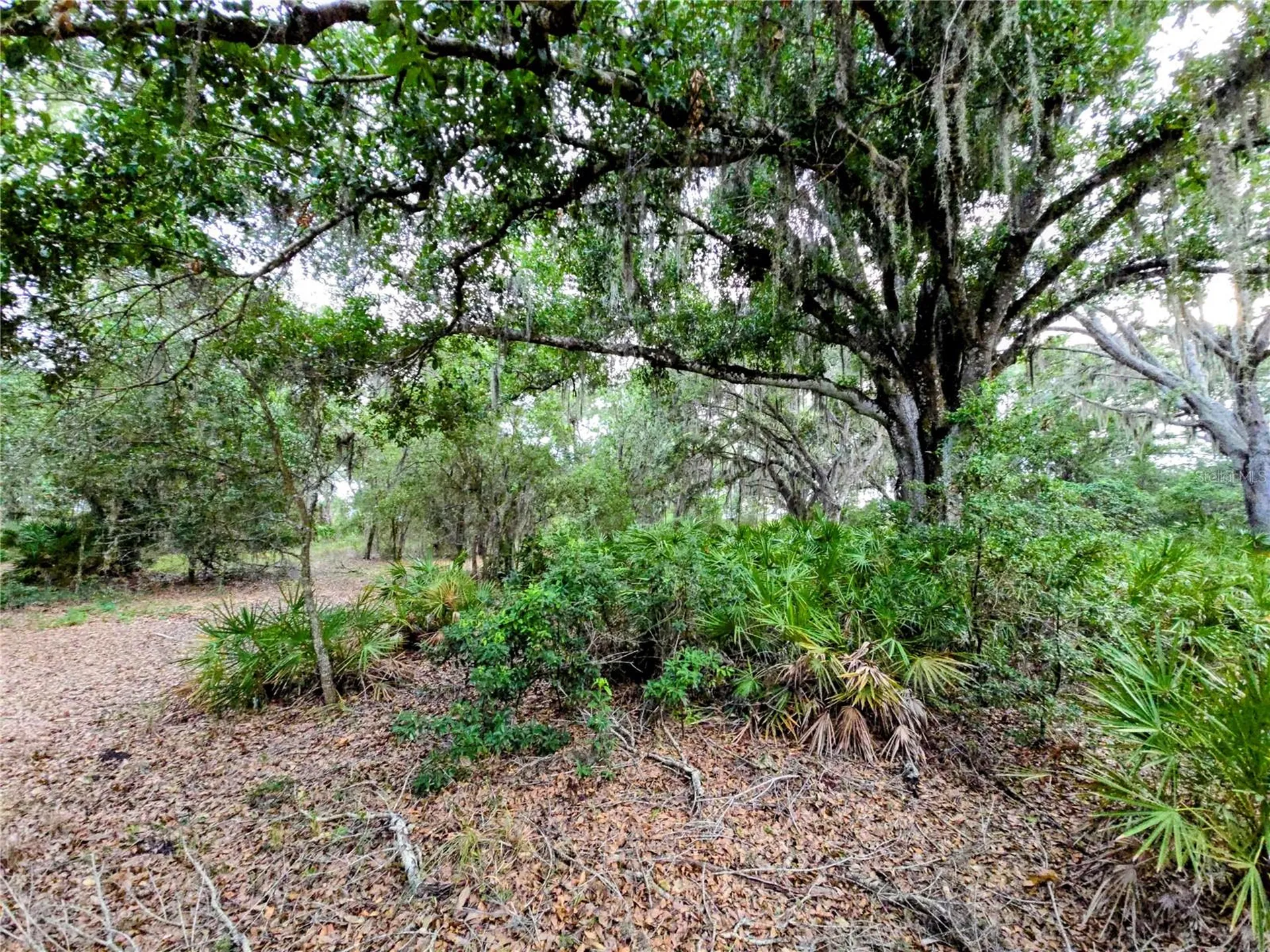 Avon Park Cutoff Road Fort Meade FL 33841