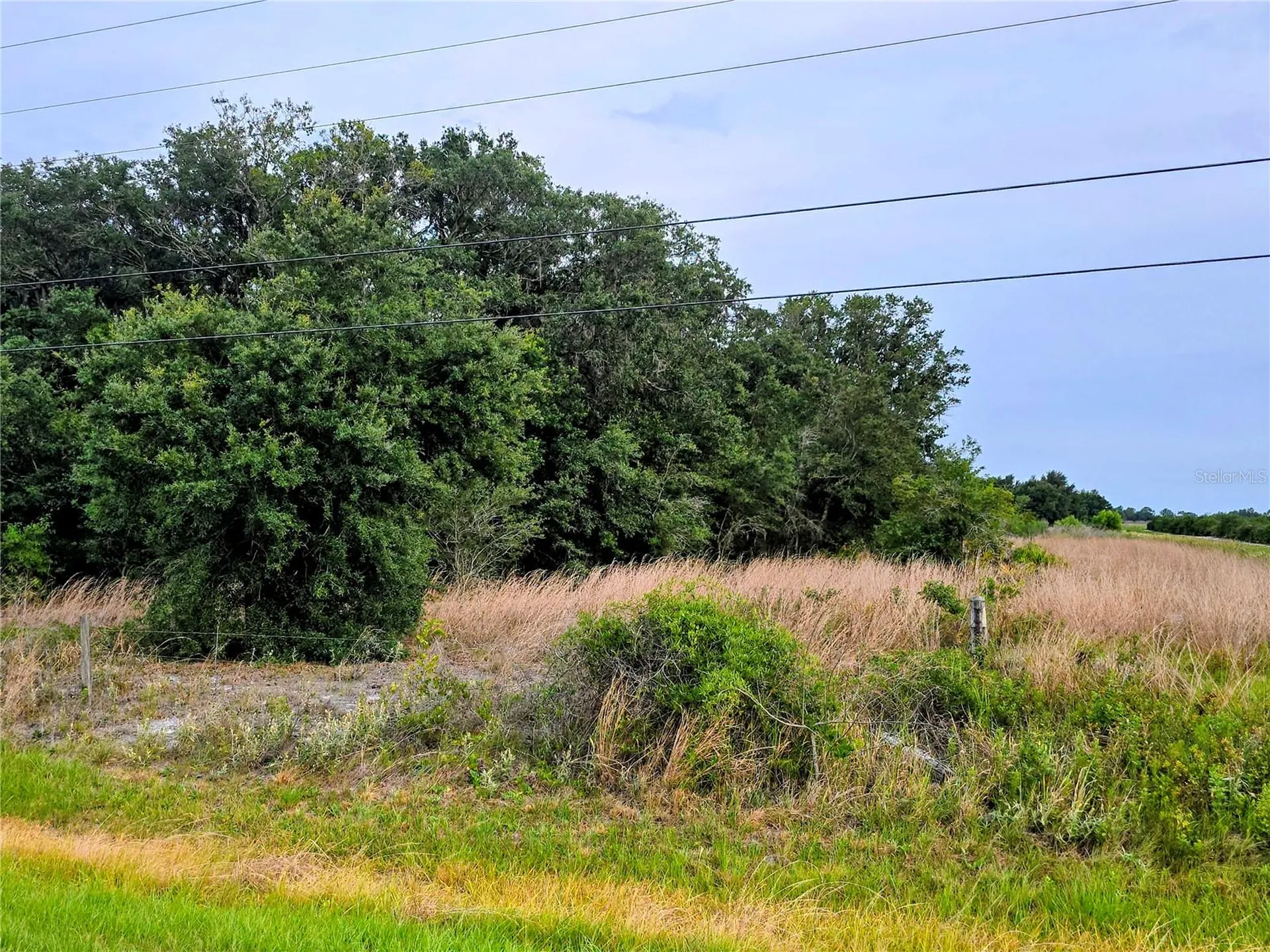 Avon Park Cutoff Road Fort Meade FL 33841