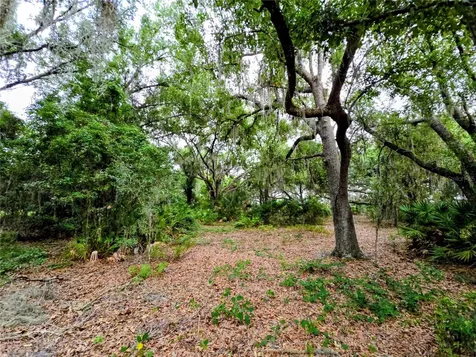 Avon Park Cutoff Road Fort Meade FL 33841