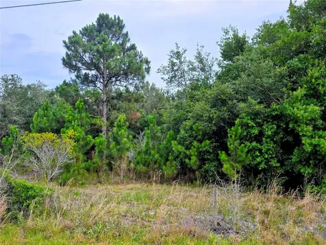 Avon Park Cutoff Road Fort Meade FL 33841