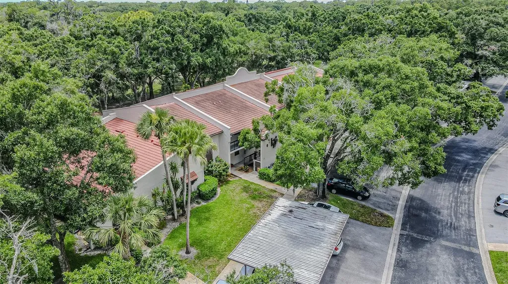 3505 Tarpon Woods Boulevard Palm Harbor FL 34685