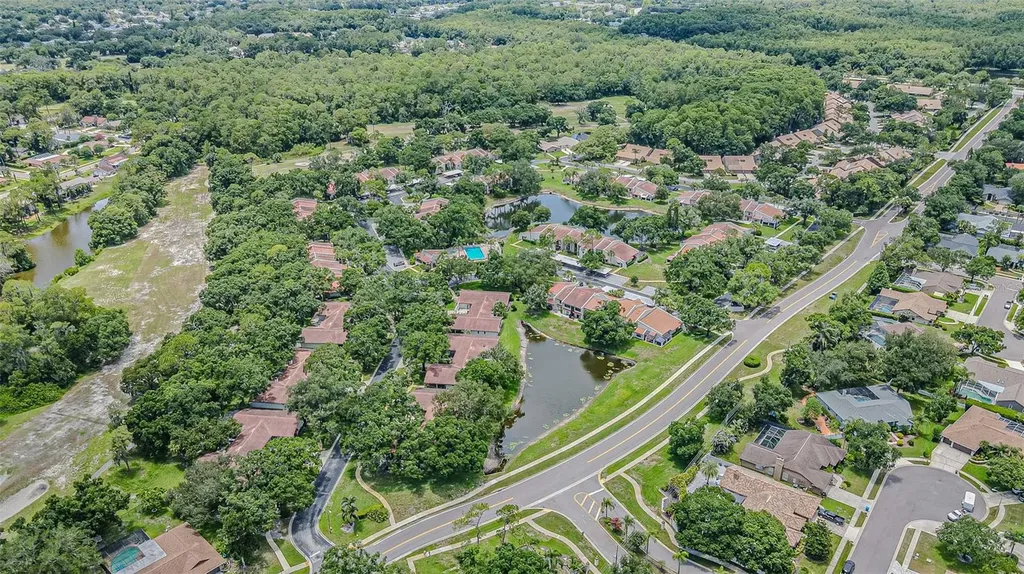 3505 Tarpon Woods Boulevard Palm Harbor FL 34685