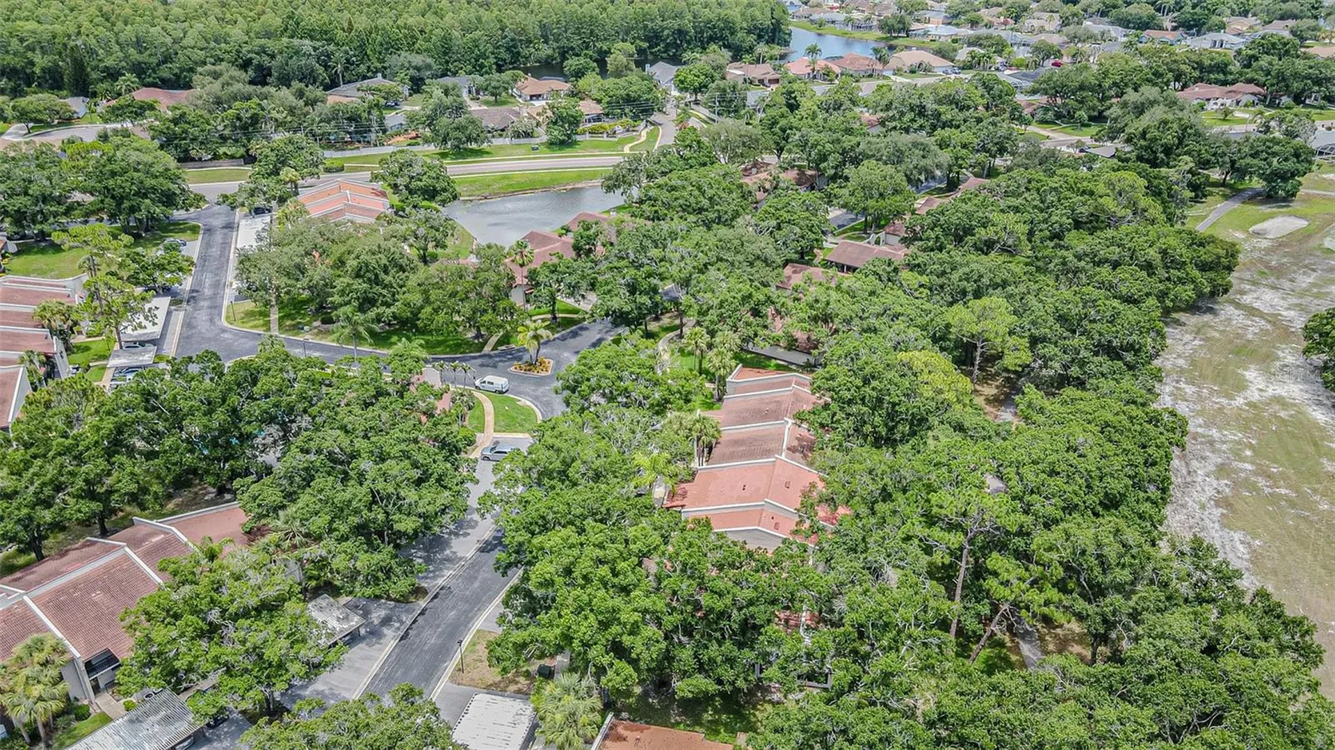 3505 Tarpon Woods Boulevard Palm Harbor FL 34685