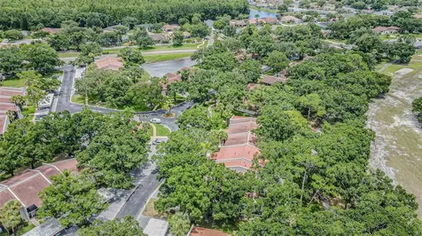 3505 Tarpon Woods Boulevard Palm Harbor FL 34685