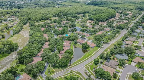 3505 Tarpon Woods Boulevard Palm Harbor FL 34685