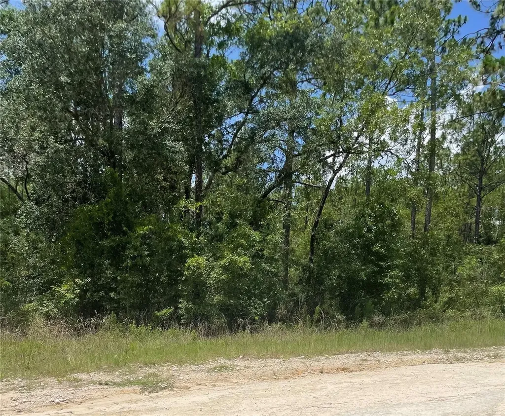 SW 67 Lane & SW 131 Circle Ocala FL 34481