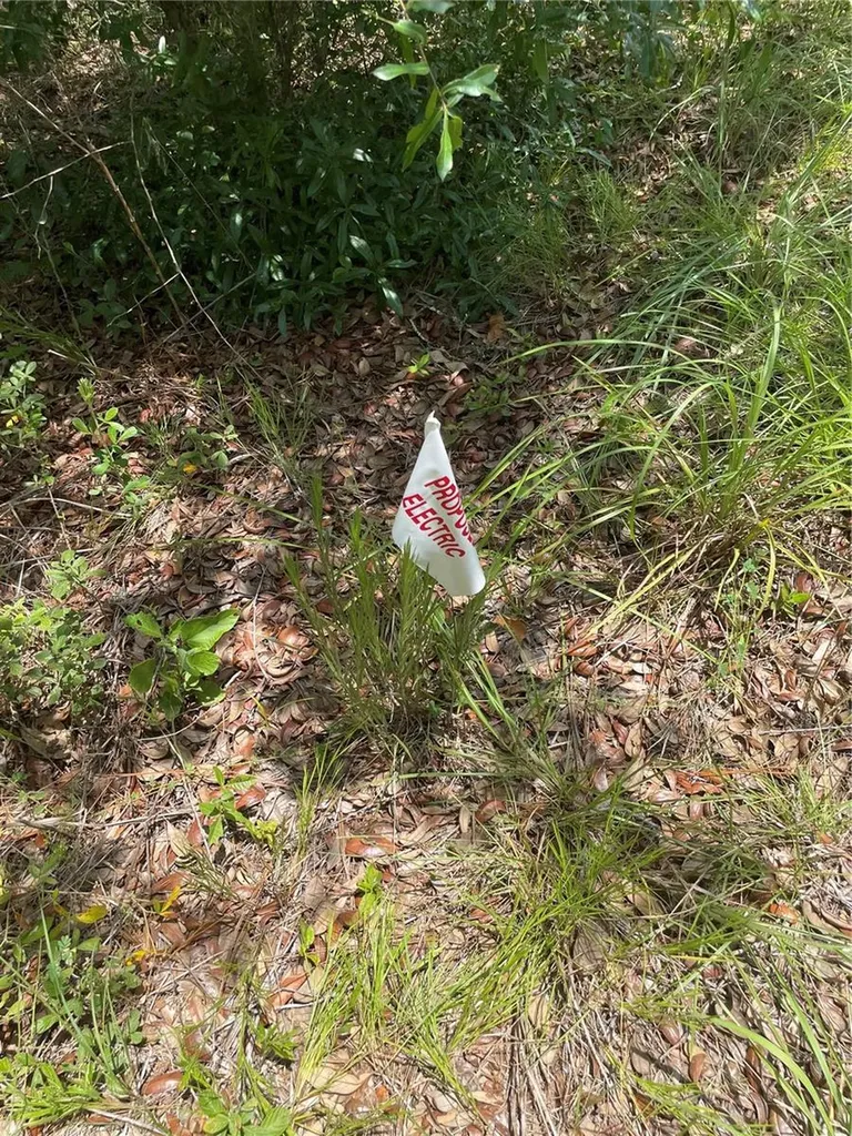 SW 67 Lane & SW 131 Circle Ocala FL 34481