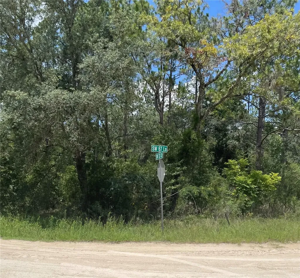 SW 67 Lane & SW 131 Circle Ocala FL 34481