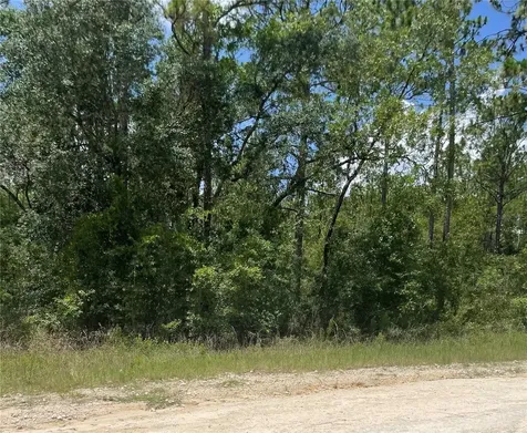 SW 67 Lane & SW 131 Circle Ocala FL 34481