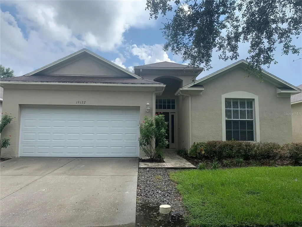 19132 Wood Sage Drive Tampa FL 33647