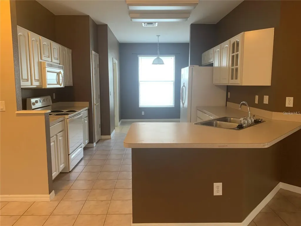 19132 Wood Sage Drive Tampa FL 33647