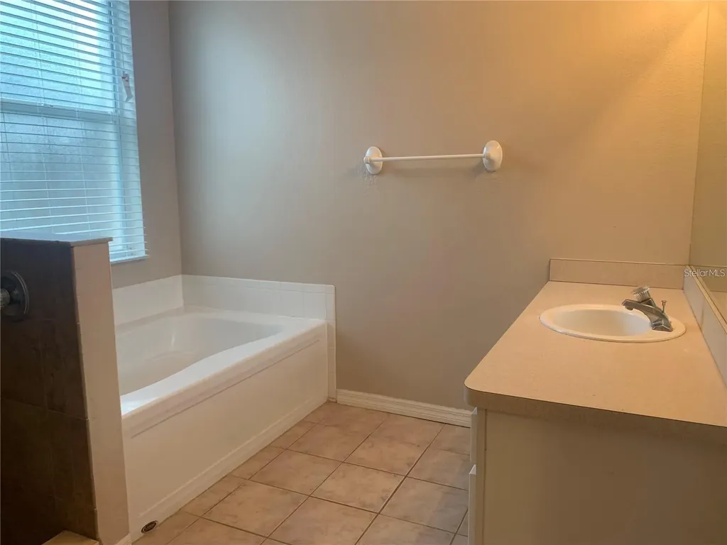 19132 Wood Sage Drive Tampa FL 33647