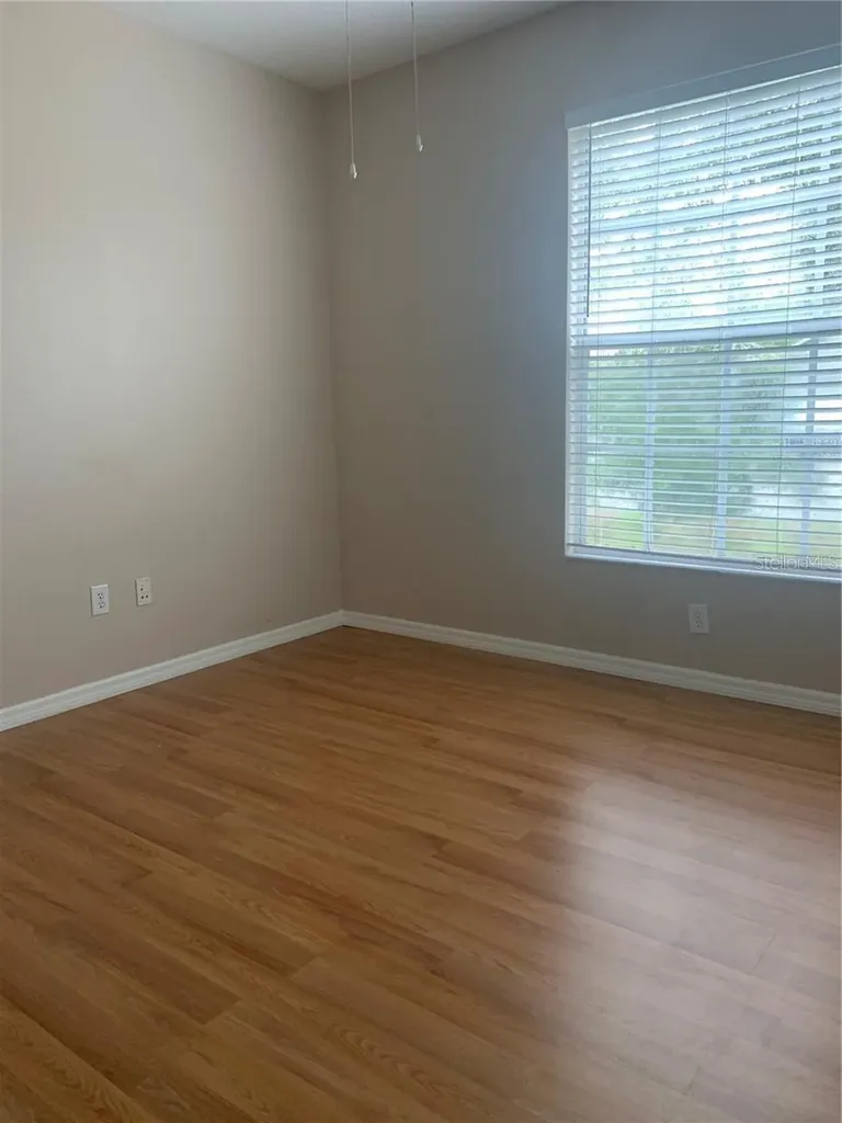 19132 Wood Sage Drive Tampa FL 33647