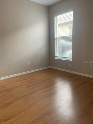 19132 Wood Sage Drive Tampa FL 33647