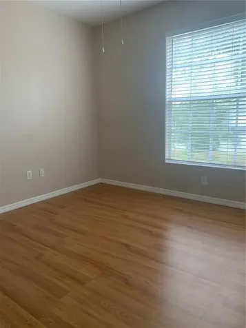19132 Wood Sage Drive Tampa FL 33647
