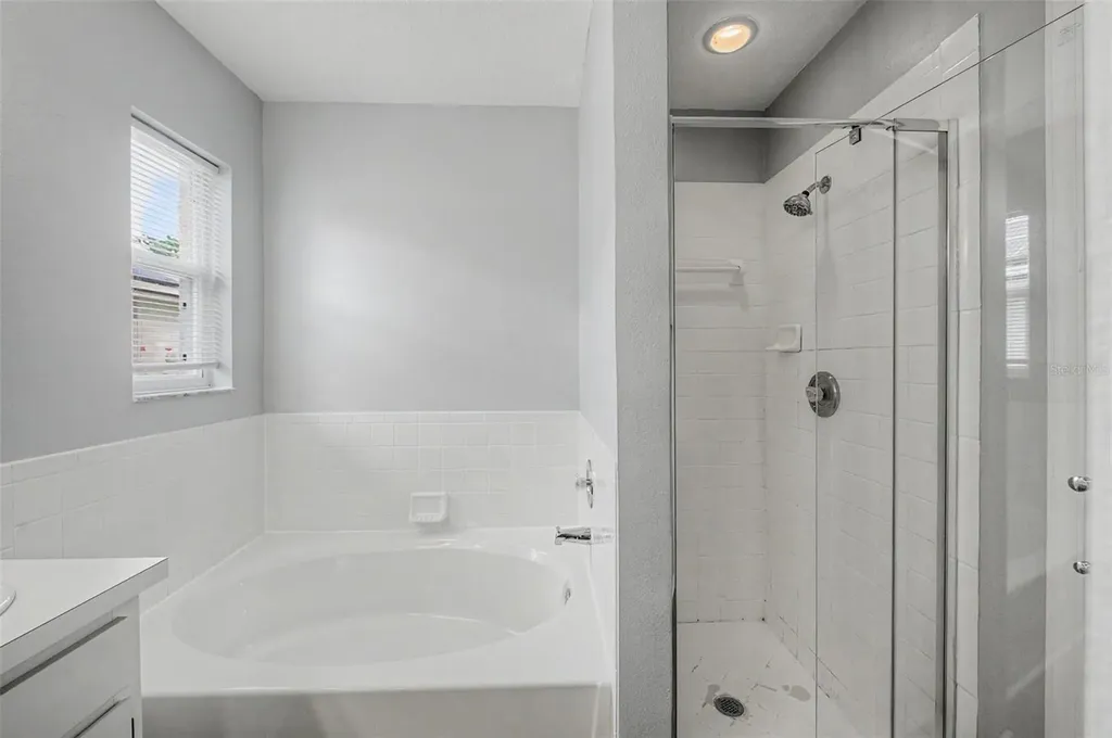 1249 Big Sky Drive Wesley Chapel FL 33543
