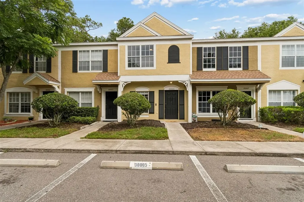 30005 Granda Hills Court Wesley Chapel FL 33543